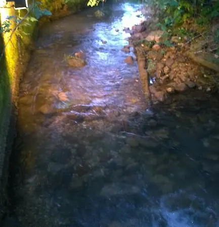Holiday Little Paradise Tatil Evi